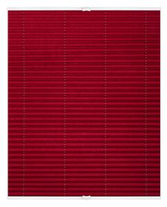 Lichtblick Plisovaná roleta, od 45 x 130 cm (ostružinová, 95 x 130 cm) (100313038169)