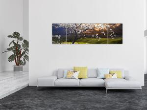 Obraz - Rozkvetlý strom v krajině (170x50 cm)