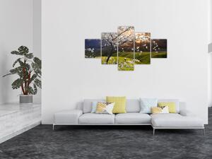Obraz - Rozkvetlý strom v krajině (125x70 cm)