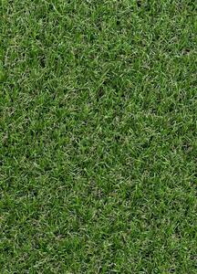 Breno Umělá tráva GIARDINO, šíře role 400 cm