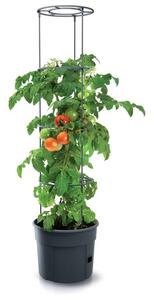 Prosperplast Květináč pro pěstování rajčat a jiných pnoucích rostlin, Grower antracit 29,5 cm