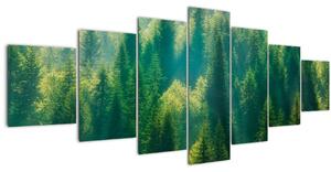 Obraz - Borovicový les (210x100 cm)