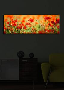 ASIR Nástěnný obraz na plátně VLČÍ MÁKY s led osvětlením 30 cm