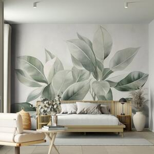 Fototapety Světle zelené listy na bledém, jemném pozadí, texturovaný styl boho, Tapety Unikátní, w09909 : uwalls.cz