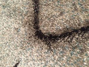 Vopi | Kusový koberec Vegas Home 47BVB - 140 x 200 cm, hnědý