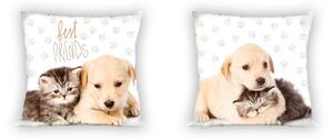 Faro Povlak na polštářek Best Friends Kotě a štěně FR014 40x40 cm, 100% bavlna