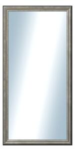 DANTIK - Zarámované zrcadlo - rozměr s rámem cca 50x100 cm z lišty Anversa stříbrná (3152)