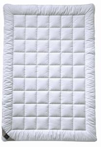 LETNÍ PŘIKRÝVKA, 155/220 cm, polyester Billerbeck - Přikrývky, Online Only