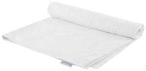 LETNÍ PŘIKRÝVKA, 155/220 cm, Centa-Star - Přikrývky, Online Only