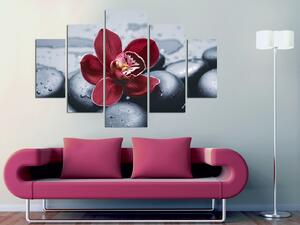 ASIR Obraz ORCHIDEJ 92 MDF 5ks