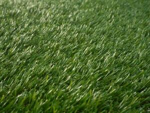 Lano - koberce a trávy AKCE: 134x397 cm Umělá tráva Daisy metrážní - Rozměr na míru cm