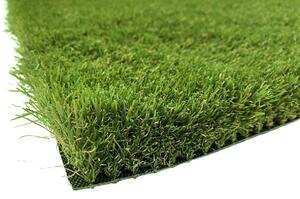 Lano - koberce a trávy AKCE: 55x270 cm Umělá tráva Daisy metrážní - Rozměr na míru cm