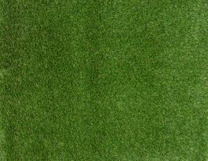 Lano - koberce a trávy AKCE: 400x200 cm Umělá tráva Daisy metrážní - Rozměr na míru cm