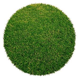 Lano - koberce a trávy Umělá tráva Botanic kruh - 200x200 (průměr) kruh cm