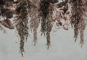 Fototapeta - Plazivé rostliny (245x170 cm)