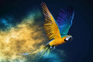 DIMEX | Vliesová fototapeta Letící papoušek Ara MS-5-0410 | 375 x 250 cm| modrá, žlutá