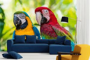 DIMEX | Vliesová fototapeta Modrý a zlatý Macaw MS-5-0412 | 375 x 250 cm| zelená, modrá, červená, žlutá