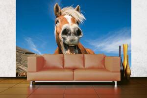 DIMEX | Vliesová fototapeta Legrační kůň MS-5-0421 | 375 x 250 cm| modrá, bílá, hnědá