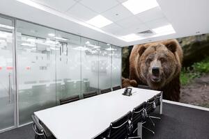 DIMEX | Vliesová fototapeta Medvěd grizzly MS-5-0430 | 375 x 250 cm| zelená, černá, hnědá
