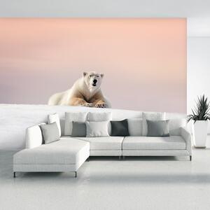 Fototapeta - Lední medvěd (245x170 cm)