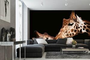 DIMEX | Vliesová fototapeta Žirafí láska MS-5-0446 | 375 x 250 cm| béžová, černá, žlutá, hnědá