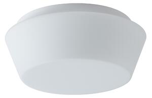 Osmont 42800 Crater 1, nástěnné/stropní svítidlo, 1x60W E27, prům.22cm