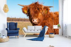 DIMEX | Vliesová fototapeta Dlouhosrstá kráva MS-5-0461 | 375 x 250 cm| zelená, modrá, hnědá
