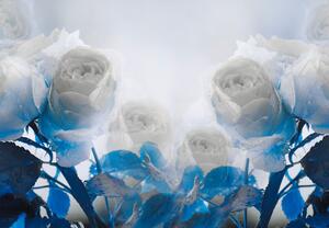 Fototapeta - Bílé růže (245x170 cm)