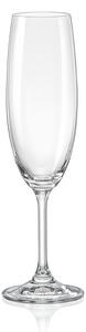 Crystalex Sklenice na sekt Lara 220 ml 6 ks