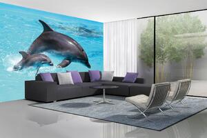 DIMEX | Vliesová fototapeta Dva delfíni MS-5-0509 | 375 x 250 cm| modrá, šedá