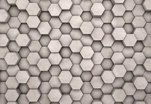 Fototapeta - Hexagony (245x170 cm)