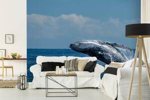 DIMEX | Vliesová fototapeta Skok velryby MS-5-0519 | 375 x 250 cm| modrá, bílá, černá