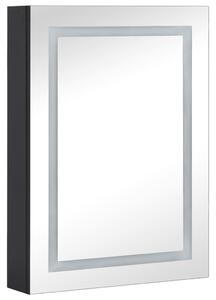 LED koupelnová skříňka se zrcadlem 50 x 13 x 70 cm