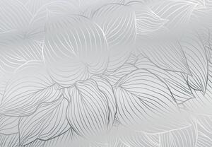 Fototapeta - Stříbrné obrysy listů (245x170 cm)