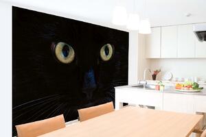 DIMEX | Vliesová fototapeta Pohled černé kočky MS-5-0553 | 375 x 250 cm| zelená, černá