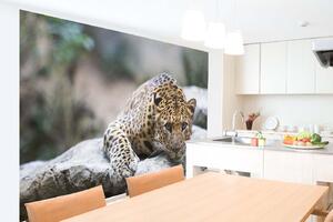 DIMEX | Vliesová fototapeta Leopard na skále MS-5-0606 | 375 x 250 cm| béžová, hnědá, šedá