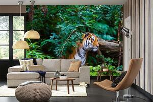 DIMEX | Vliesová fototapeta Tygr v džungli MS-5-0622 | 375 x 250 cm| zelená, černá, oranžová