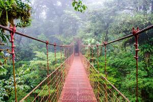 DIMEX | Vliesová fototapeta Most v deštném pralese MS-5-0637 | 375 x 250 cm| zelená, měděná