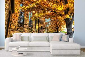 DIMEX | Vliesová fototapeta Podzim ve městě MS-5-0631 | 375 x 250 cm| zelená, oranžová, šedá