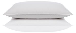 Péřový polštář EXCLUSIVE Silver: Bílá 50x70cm