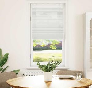 VidaXL Plisovaná roleta 60x150 cm Šířka látky 59,4 cm [4015084] Barva: světle šedá