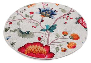 Conceptum Hypnose Kusový koberec Arya, Vícebarevná Rozměr koberce: 100 cm KRUH
