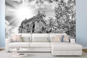 DIMEX | Vliesová fototapeta Notre Dame detaily MS-5-1023 | 375 x 250 cm| bílá, šedá