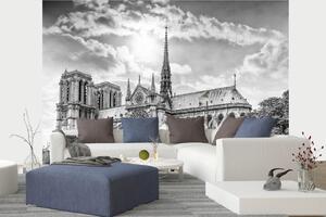 DIMEX | Vliesová fototapeta Katedrála Paříž MS-5-1039 | 375 x 250 cm| bílá, šedá