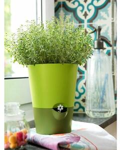 Emsa Samozavlažovací bylinkový květináč Fresh herbs světle šedá, pr. 13 cm