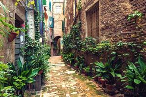 DIMEX | Vliesová fototapeta Skrytá ulice v Sieně MS-5-1225 | 375 x 250 cm| zelená, hnědá, šedá