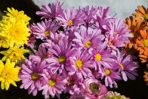 DIMEX | Vliesová fototapeta Kvetoucí jarní květiny MS-5-1295 | 375 x 250 cm| černá, žlutá, růžová