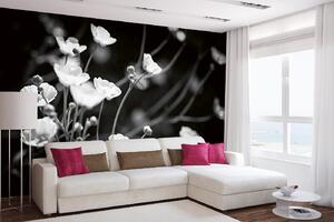 DIMEX | Vliesová fototapeta Černé a bílé květy MS-5-1321 | 375 x 250 cm| bílá, černá