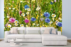 DIMEX | Vliesová fototapeta Divoké pole květin MS-5-1333 | 375 x 250 cm| zelená, modrá, bílá, růžová