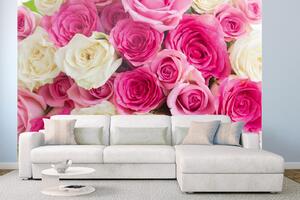 DIMEX | Vliesová fototapeta Růžové a bílé růže MS-5-1335 | 375 x 250 cm| béžová, růžová